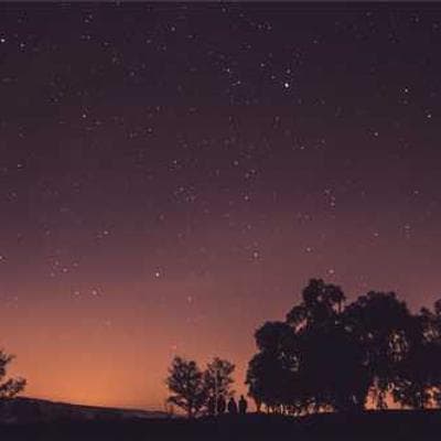 Summer Music Festival 2025