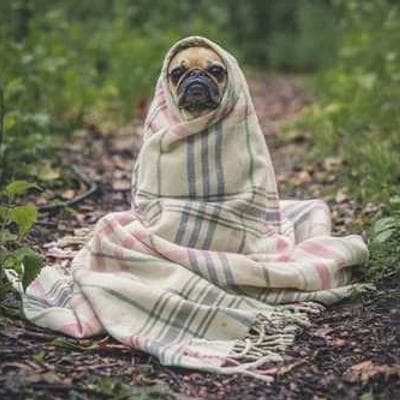 Jazz Night at Blue Note