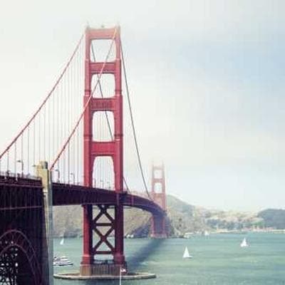 Classical Orchestra Performance