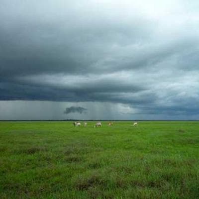 Jazz Café Sessions Vol. 2